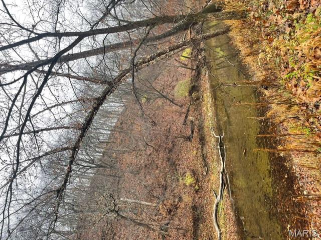 113 Bridlespur Court Hawk Point, MO 63349 - Photo 73 of 80