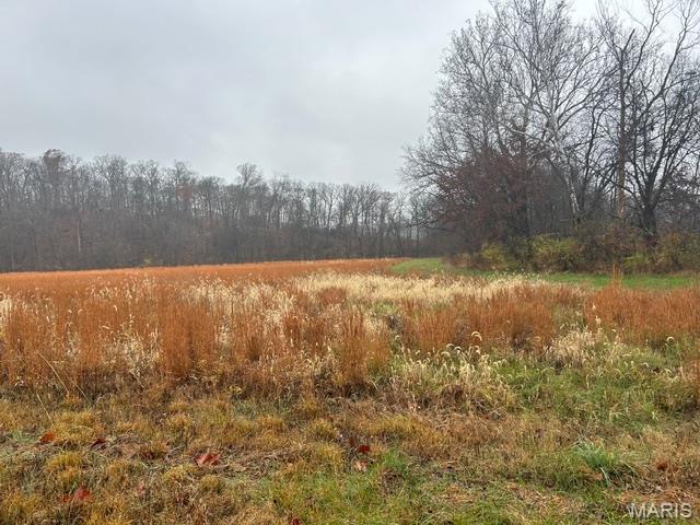 113 Bridlespur Court Hawk Point, MO 63349 - Photo 74 of 80