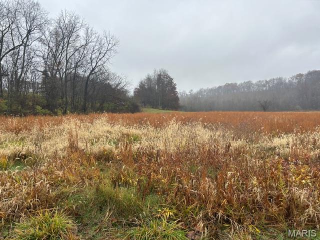 113 Bridlespur Court Hawk Point, MO 63349 - Photo 80 of 80