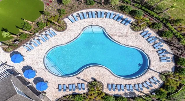 a view of a garden with a large tree