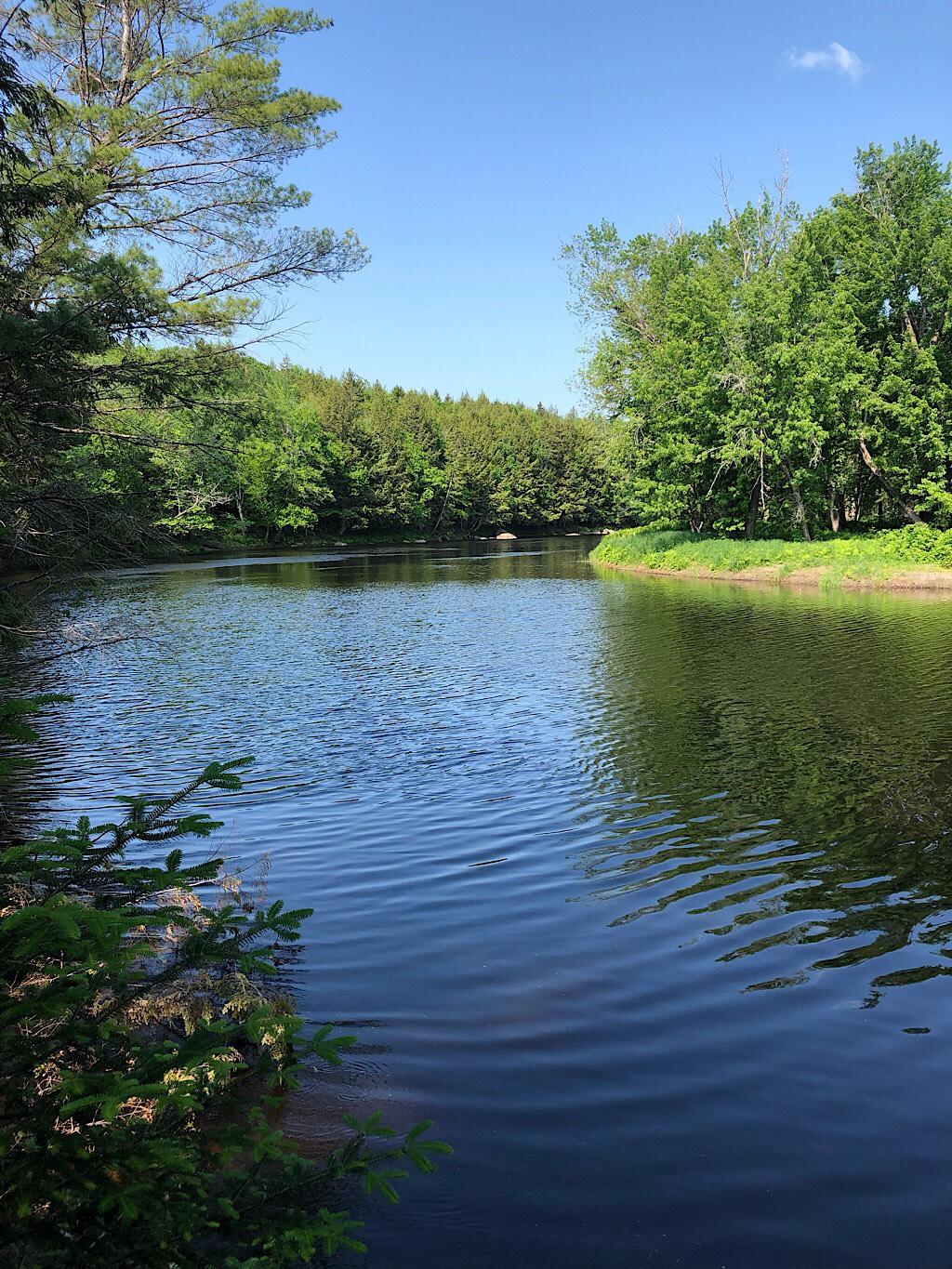 Ktl Lot 11 Ktl Road Island Falls, ME 04747 - Photo 30 of 33 IMG_1572