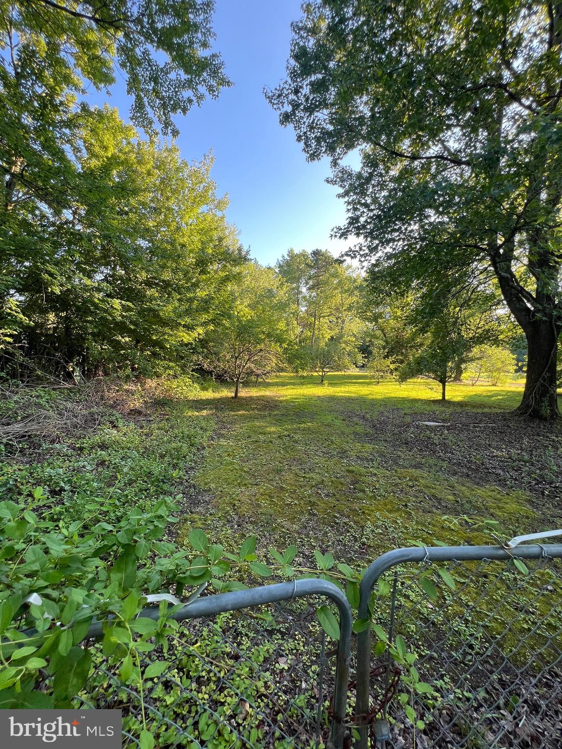 14757 Merser Road Eden, MD 21822 - Photo 9 of 21