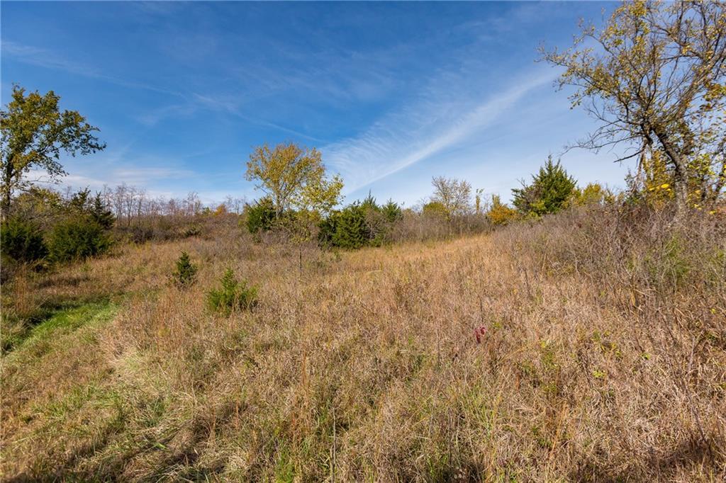 0 Northeast Tennessee Road Garnett, KS 66032 - Photo 50 of 84