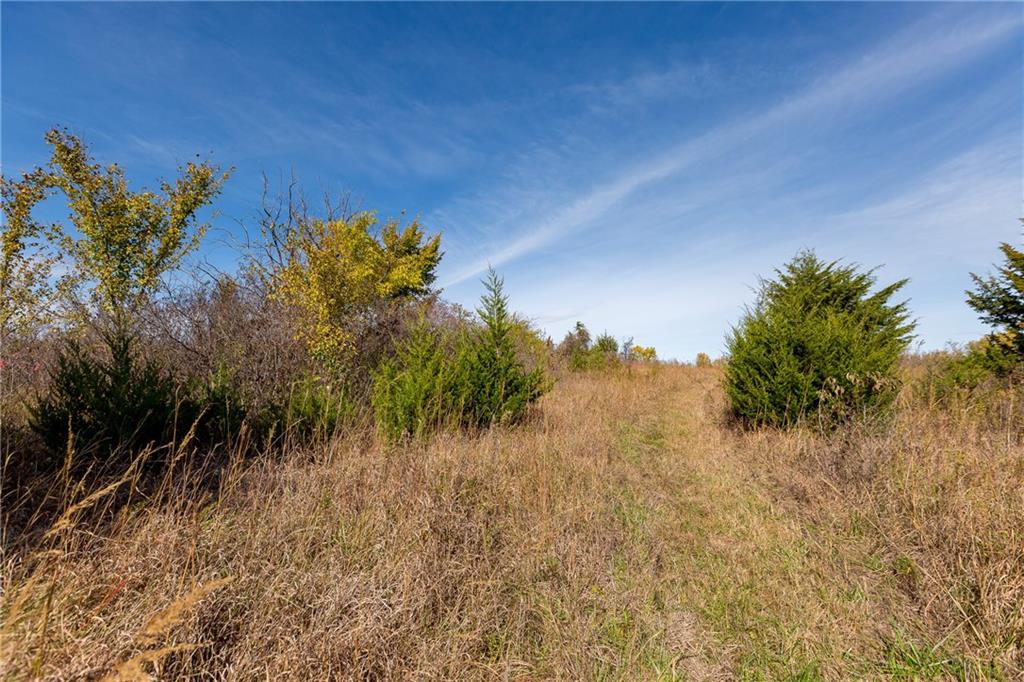 0 Northeast Tennessee Road Garnett, KS 66032 - Photo 51 of 84