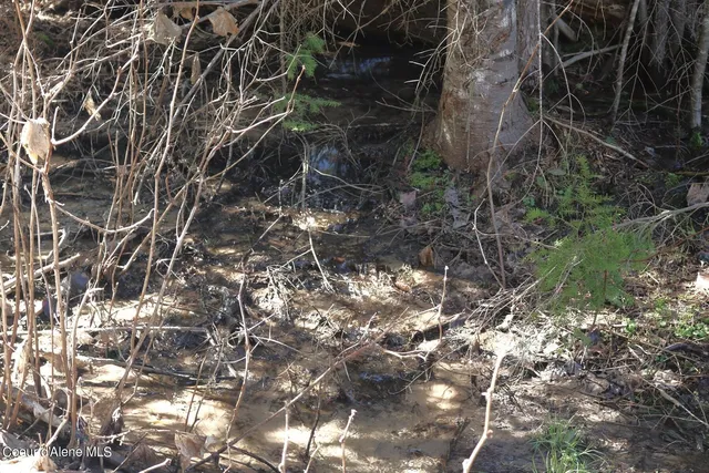 $765,000 | 718 A Slippery Slope Trail, Priest River, ID 83856