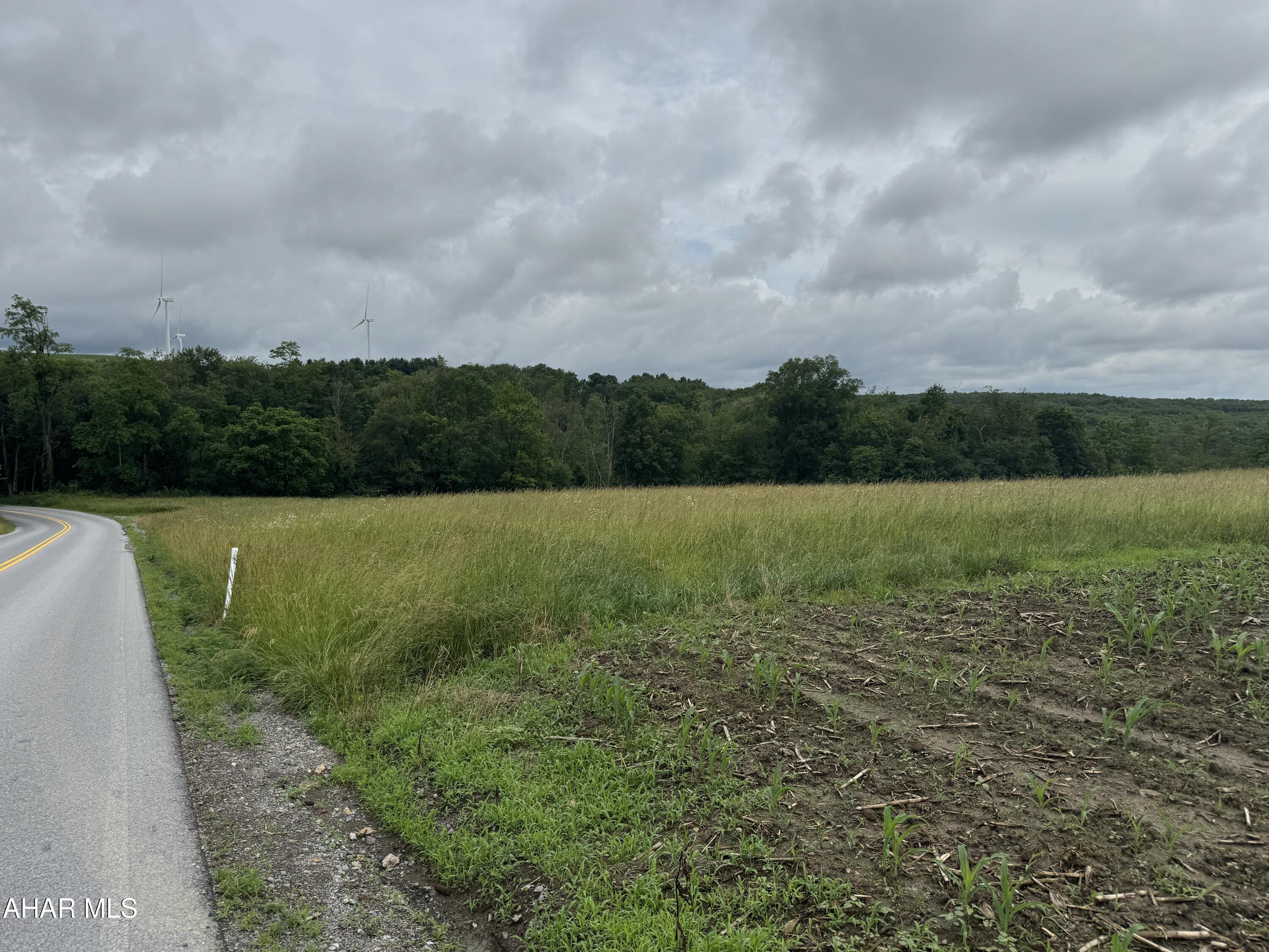 0 Magee Road Patton, PA 16668 - Photo 1 of 4 Gallery Image 1