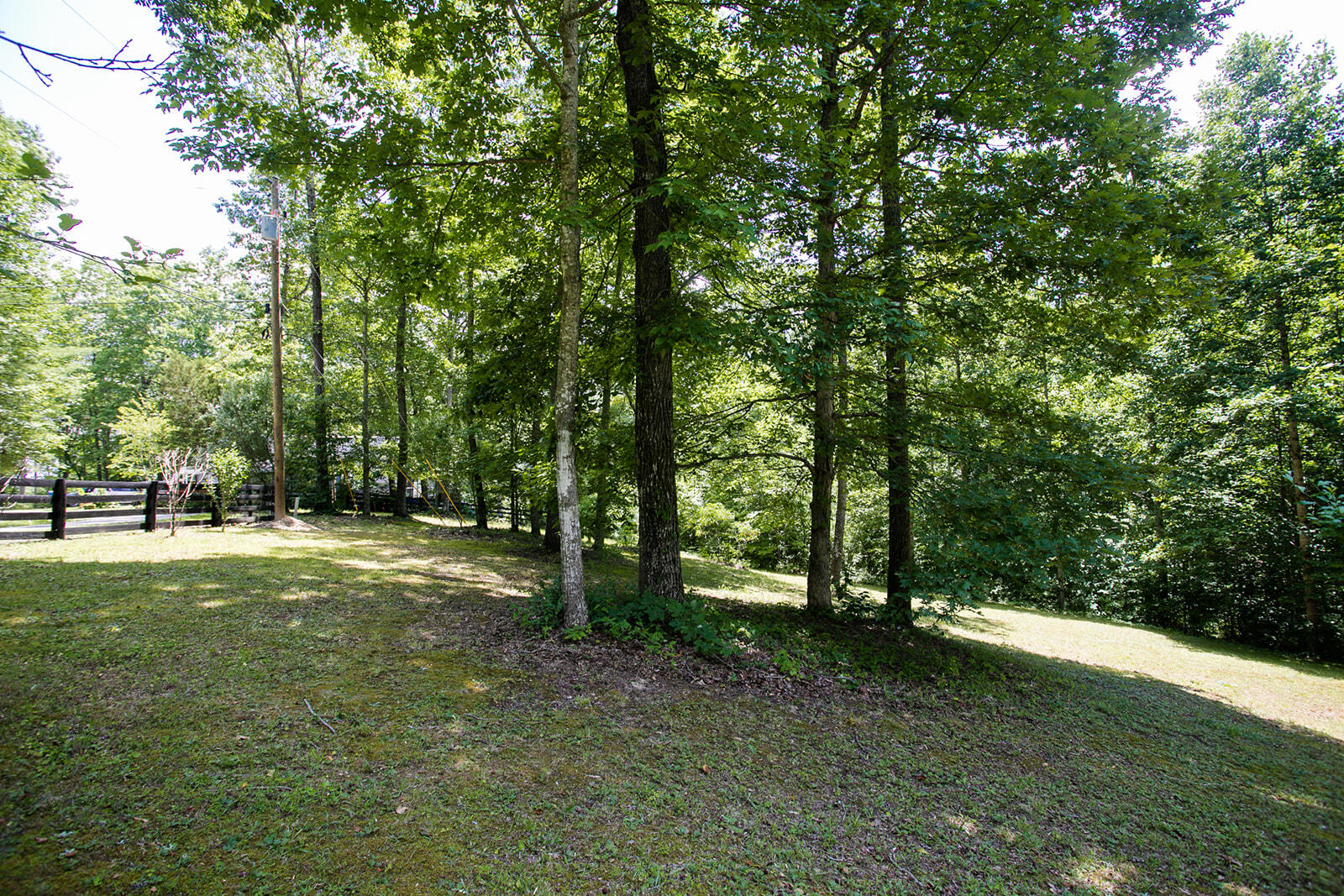 176 Pond Circle Road Wellington, KY 40387 - Photo 34 of 44 8G1A0007