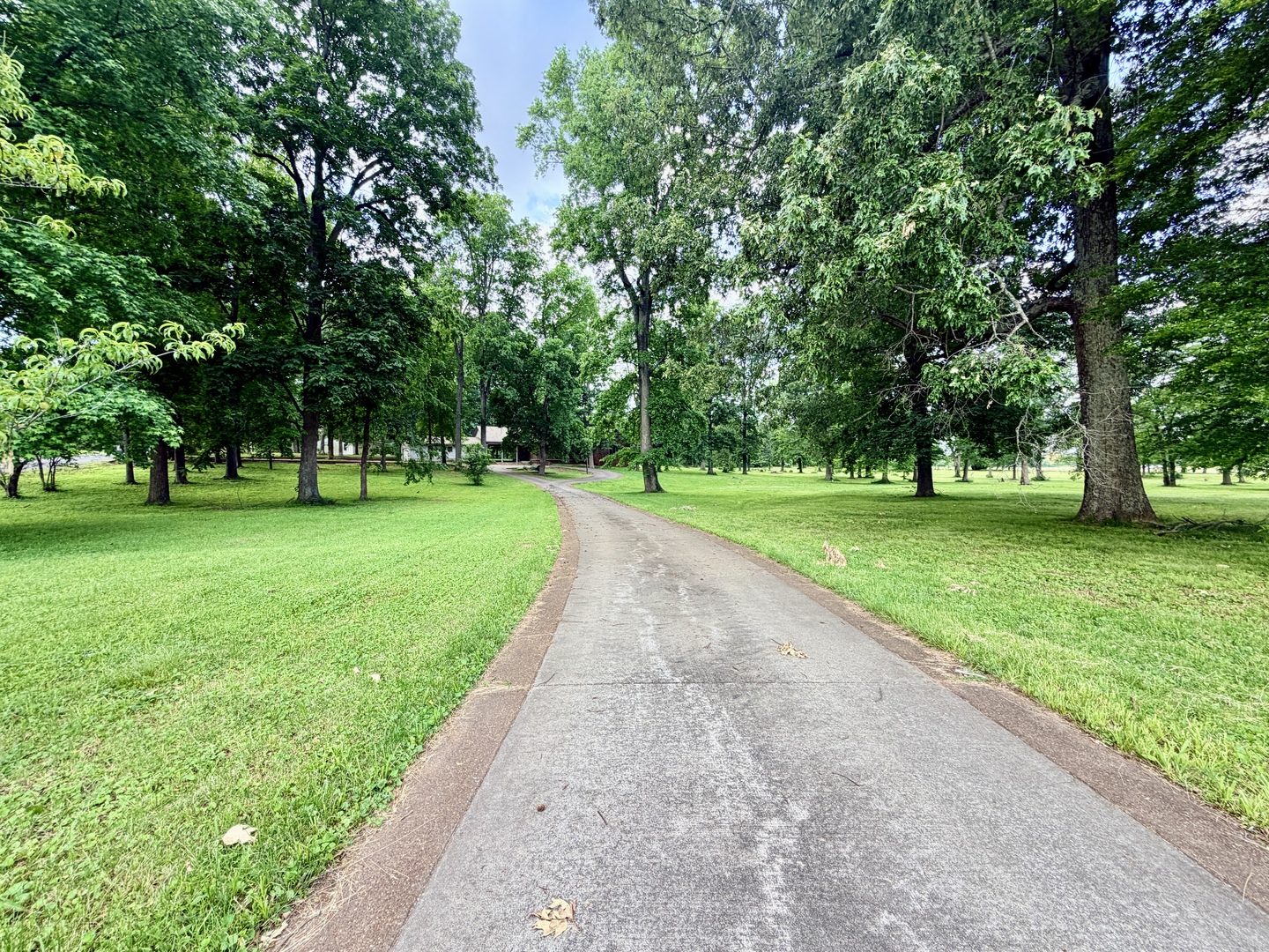 5996 South US 45 Road Metropolis, IL 62960 - Photo 6 of 41 a view of a park with large trees