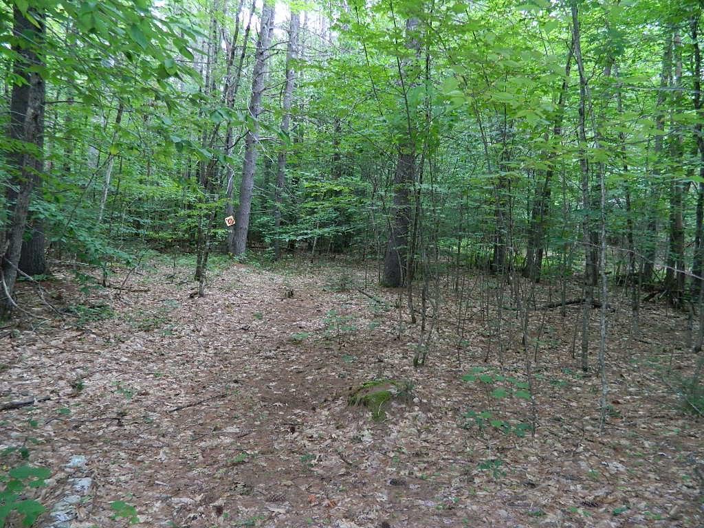 633 River Road Hiram, ME 04041 - Photo 7 of 14 Photo
