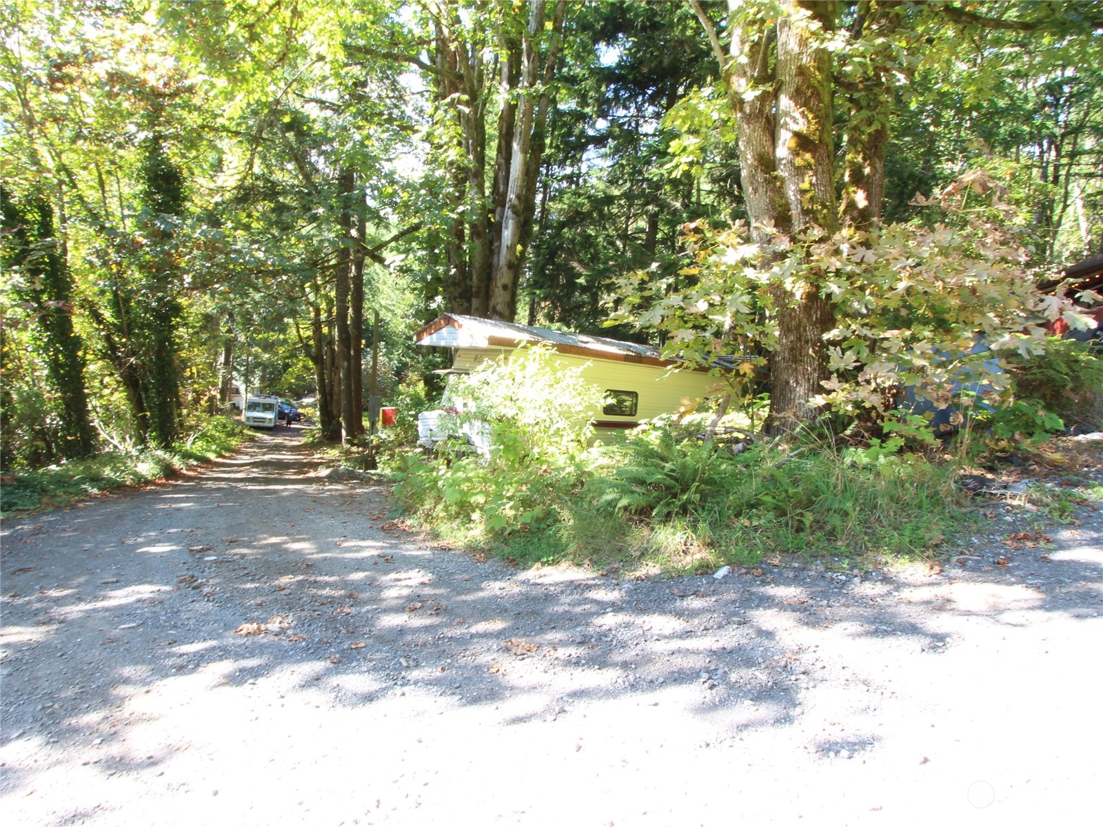 6426 Santa Fe Trail Maple Falls, WA 98266 - Photo 8 of 15 a view of yard