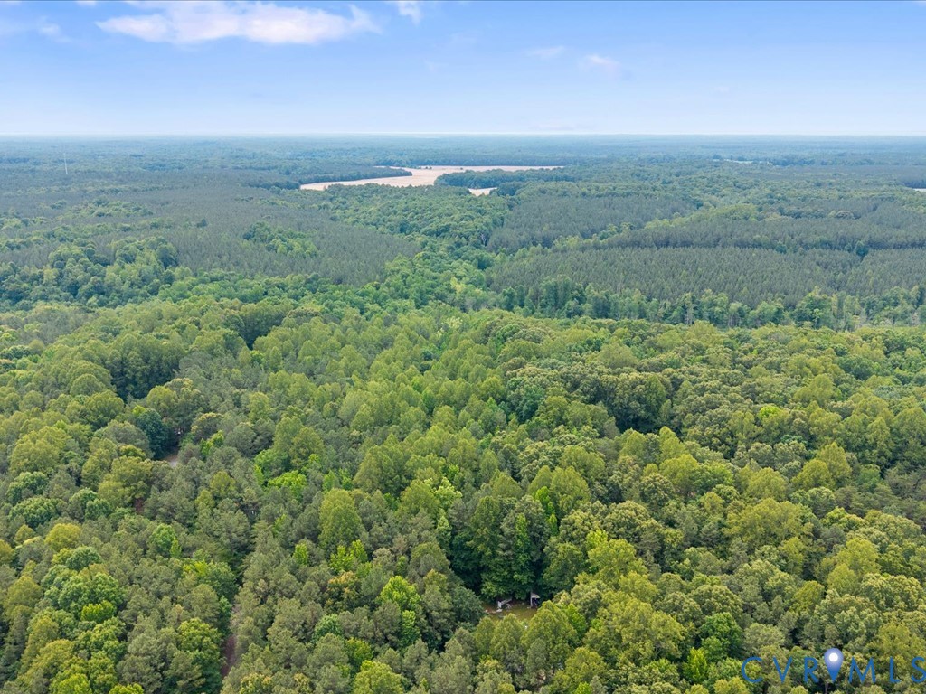1250 Dorrell Road Aylett, VA 23009 - Photo 28 of 28