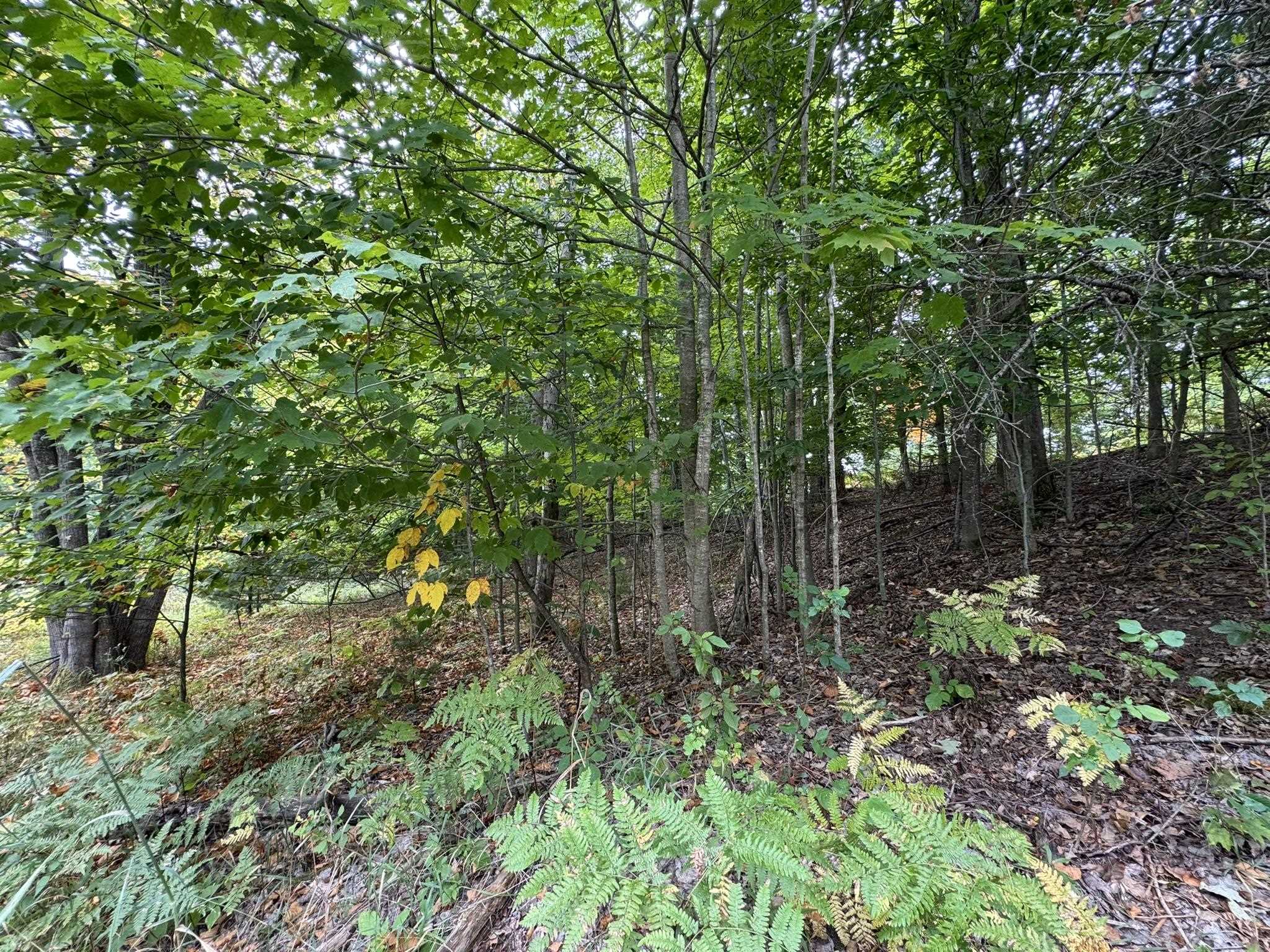 Lot 5 East Old Mountain Road, Unit LOT: 5 Cedar, MI 49621 - Photo 9 of 10