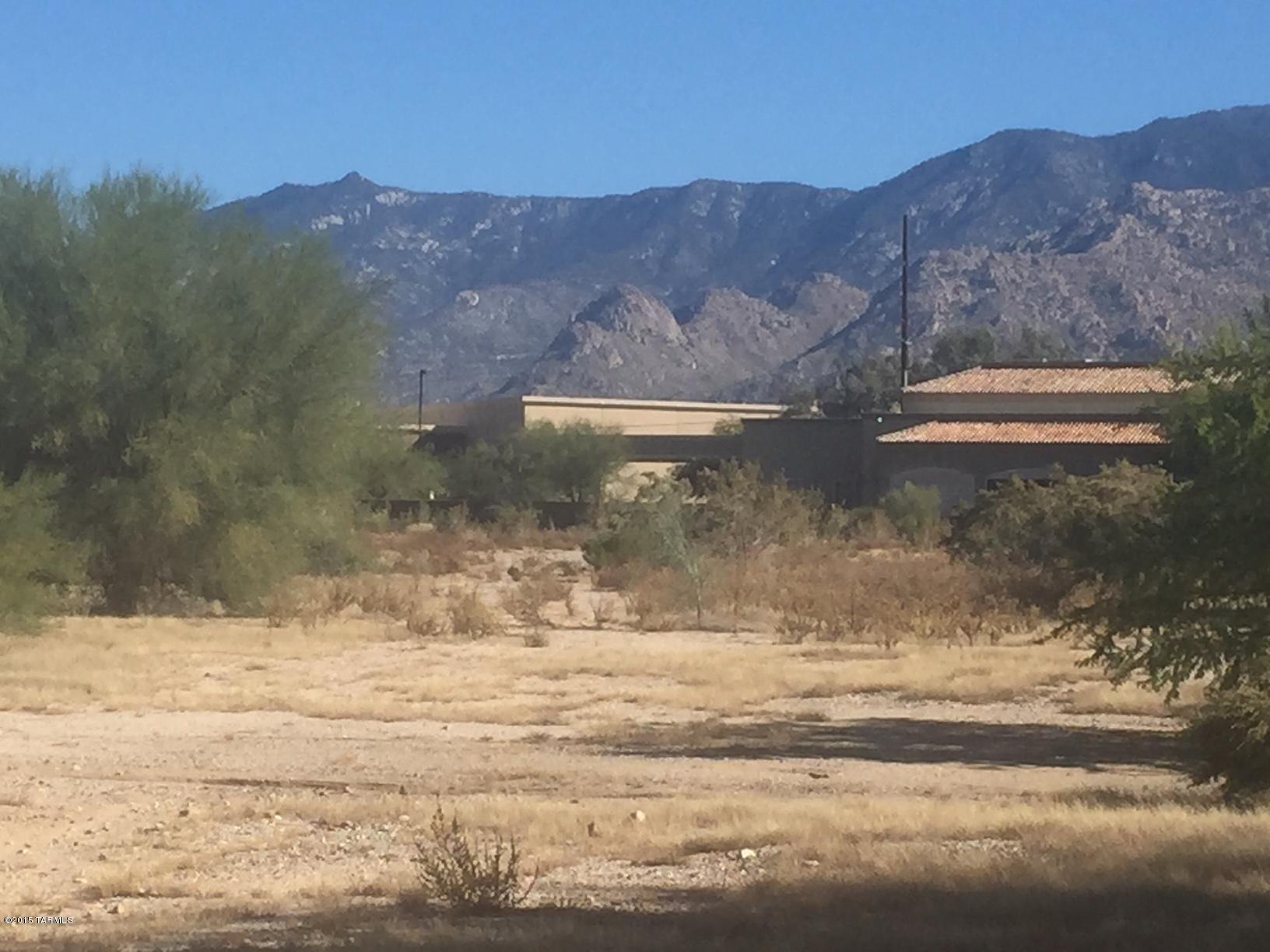 Lot 7 Mercado Del Rio, Unit 7 Tucson, AZ 85737 - Photo 1 of 6