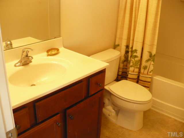 3812 Bison Hill Lane Raleigh, NC 27604 - Photo 14 of 14 a bathroom with a sink and a toilet
