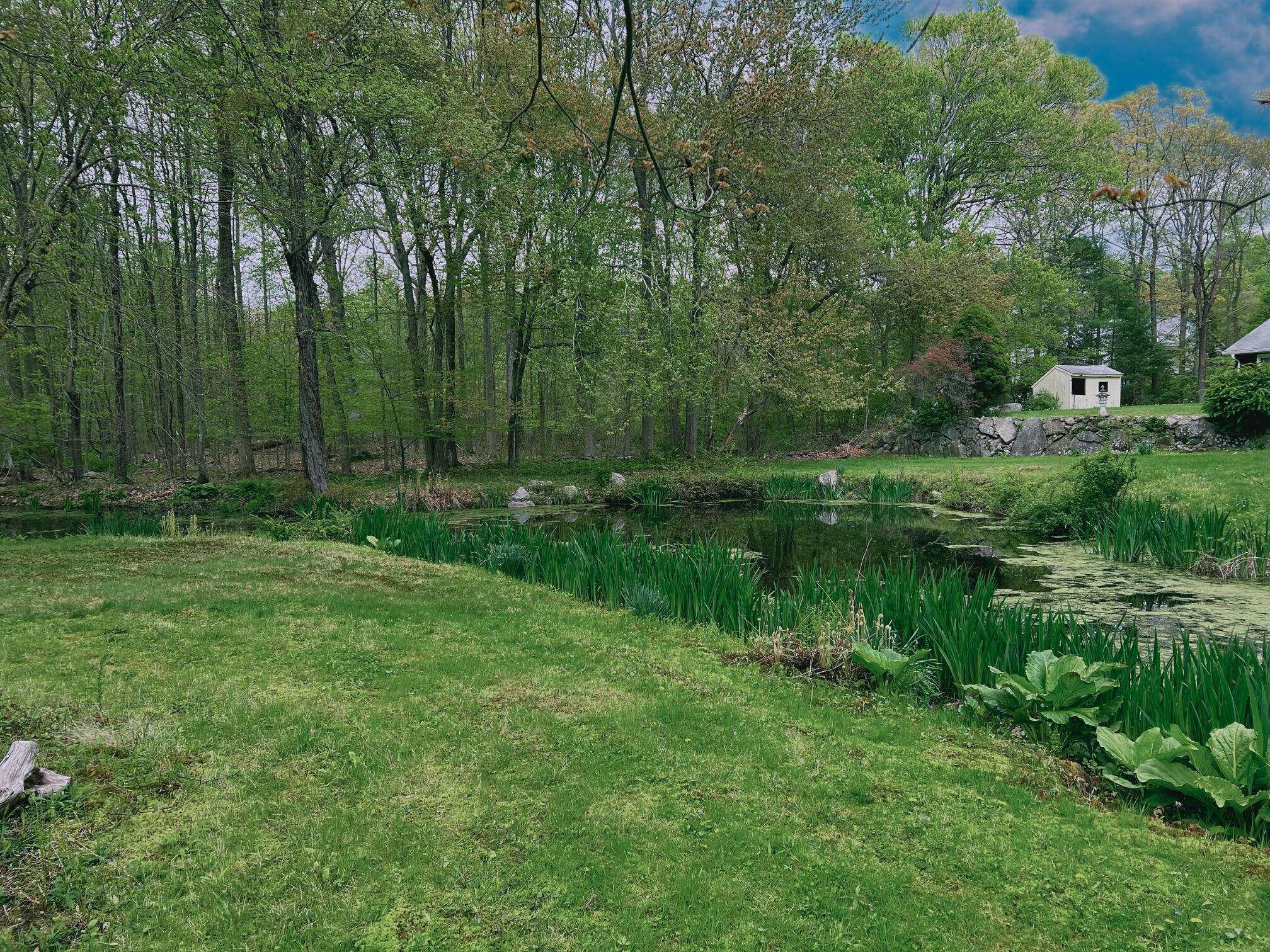 142 Briscoe Road New Canaan, CT 06840 - Photo 8 of 9 a view of a water pond with green yard