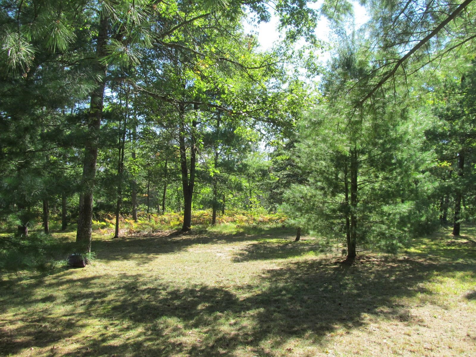 2345 South Burke Circle Baldwin, MI 49304 - Photo 38 of 39 1927023-b3f69c58-db2f-4a7b-8774-c267c5309622.JPG