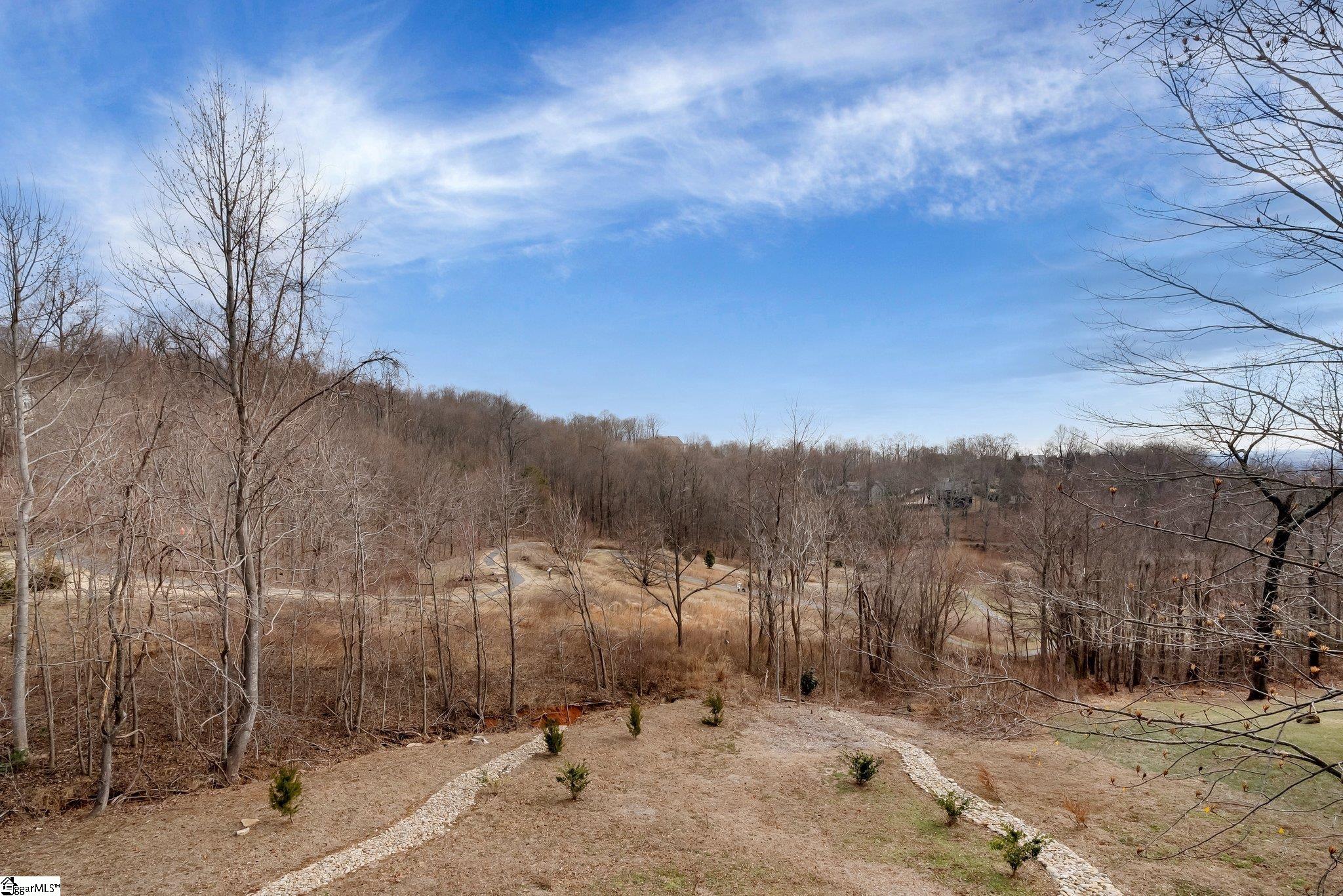 71 Raptor Way Landrum, SC 29356 - Photo 2 of 39
