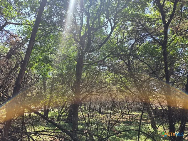 $29,500 | 1548 Winding Creek Trail, Spring Branch, TX 78070