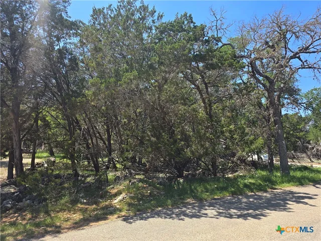$29,500 | 1548 Winding Creek Trail, Spring Branch, TX 78070