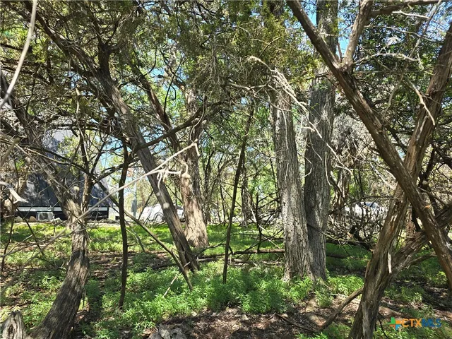 $29,500 | 1548 Winding Creek Trail, Spring Branch, TX 78070