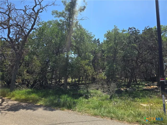 $29,500 | 1548 Winding Creek Trail, Spring Branch, TX 78070