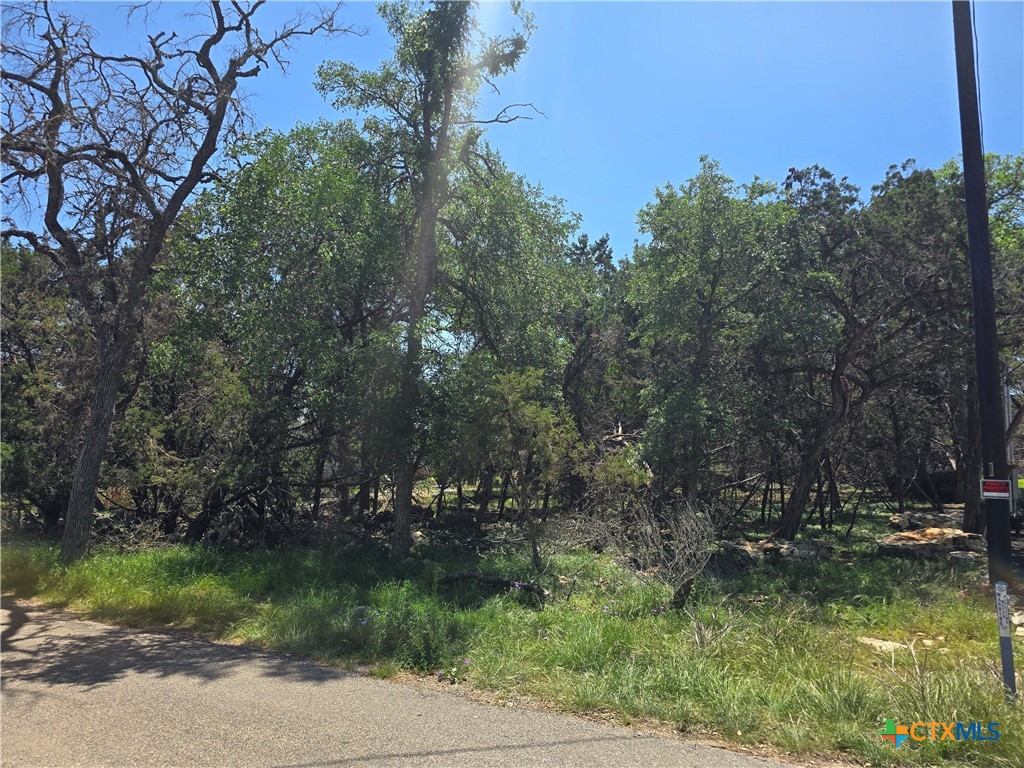 1548 Winding Creek Trail Spring Branch, TX 78070 - Photo 4 of 4