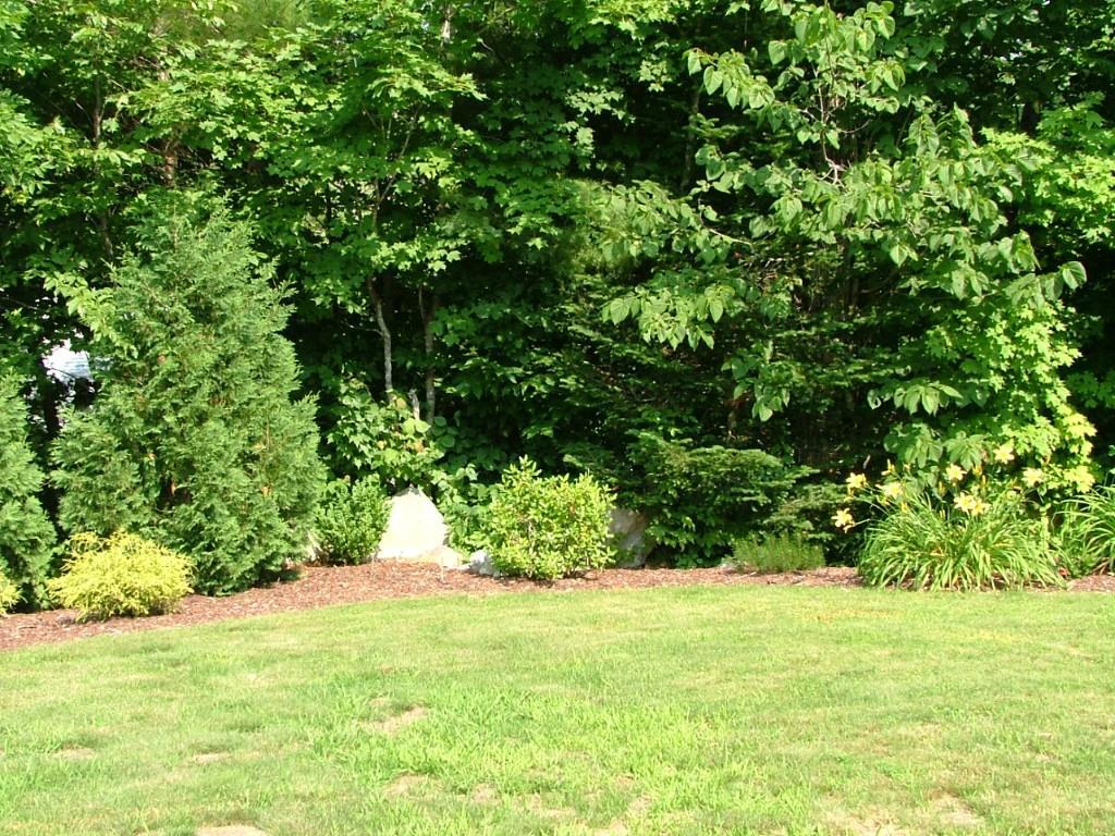 249 North Raymond Road Poland, ME 04274 - Photo 5 of 35 Front Yard