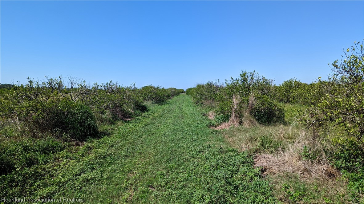 Bethea Road Zolfo Springs, FL 33890 - Photo 11 of 20 Gallery Image 11