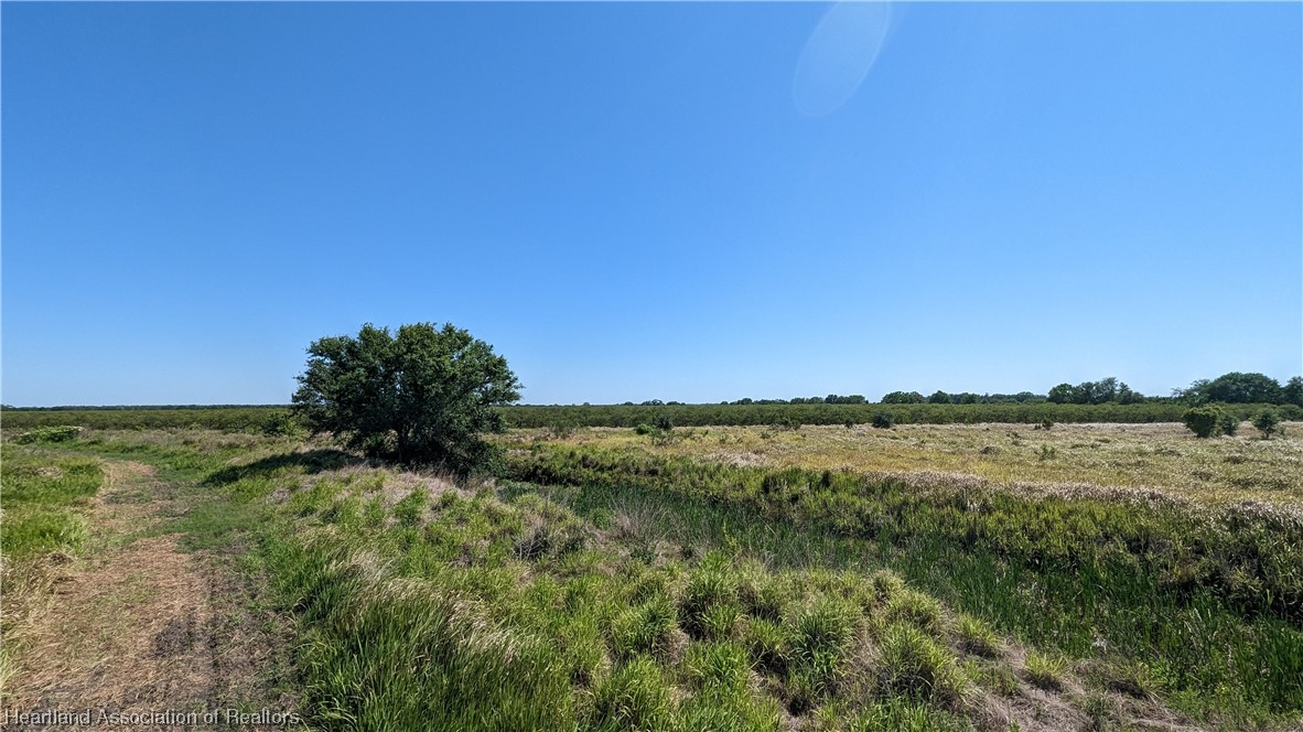 Bethea Road Zolfo Springs, FL 33890 - Photo 12 of 20 Gallery Image 12