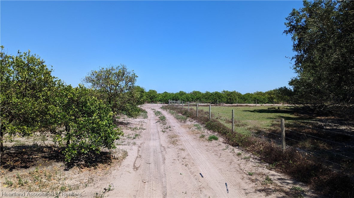 Bethea Road Zolfo Springs, FL 33890 - Photo 13 of 20 Gallery Image 13