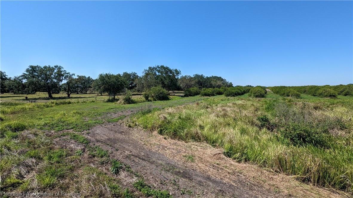 Bethea Road Zolfo Springs, FL 33890 - Photo 15 of 20 Gallery Image 15