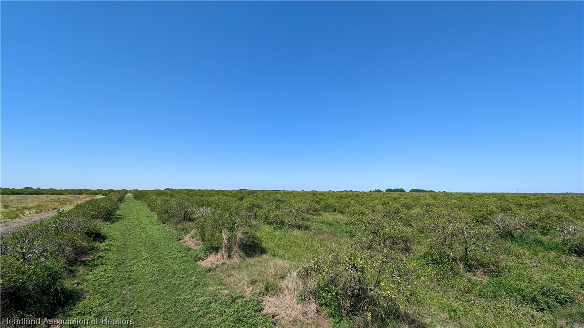 Bethea Road Zolfo Springs, FL 33890 - Photo 16 of 20 Gallery Image 16