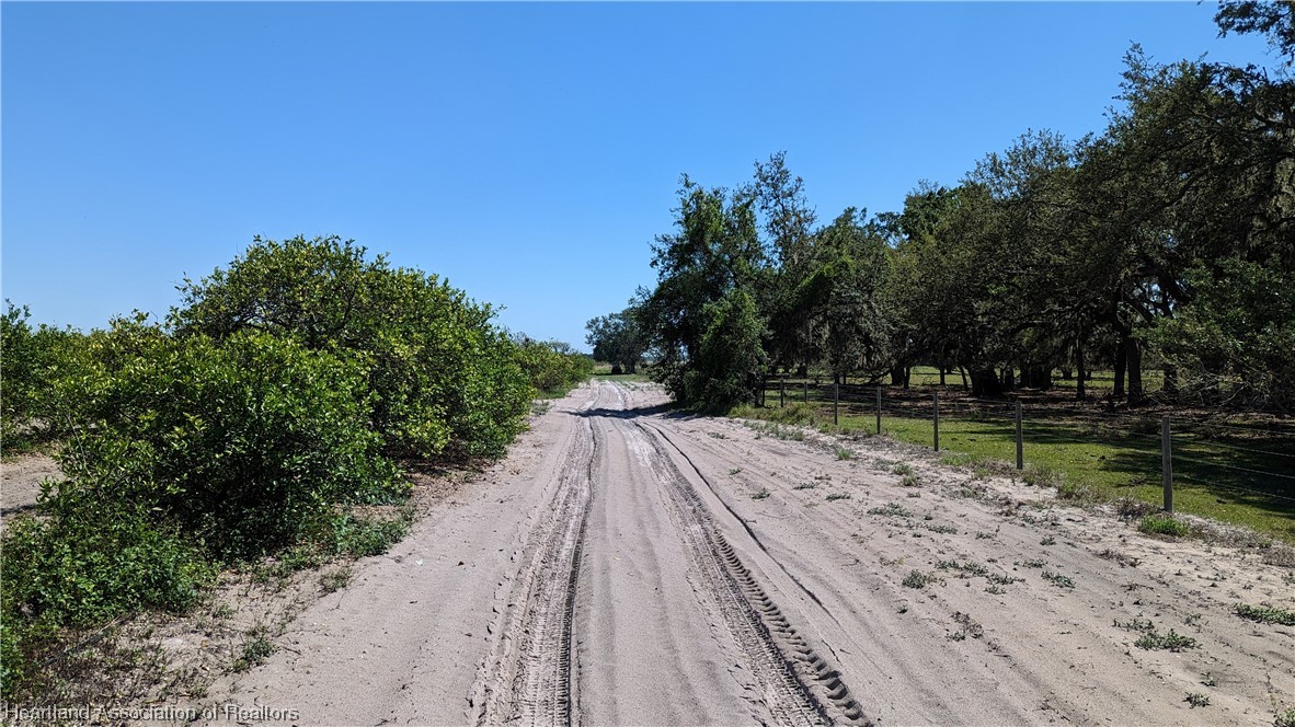 Bethea Road Zolfo Springs, FL 33890 - Photo 8 of 20 Gallery Image 8
