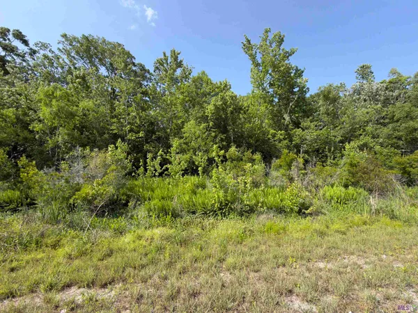 $20,000 | Tbd Bayou Black Drive, Gibson, LA 70356