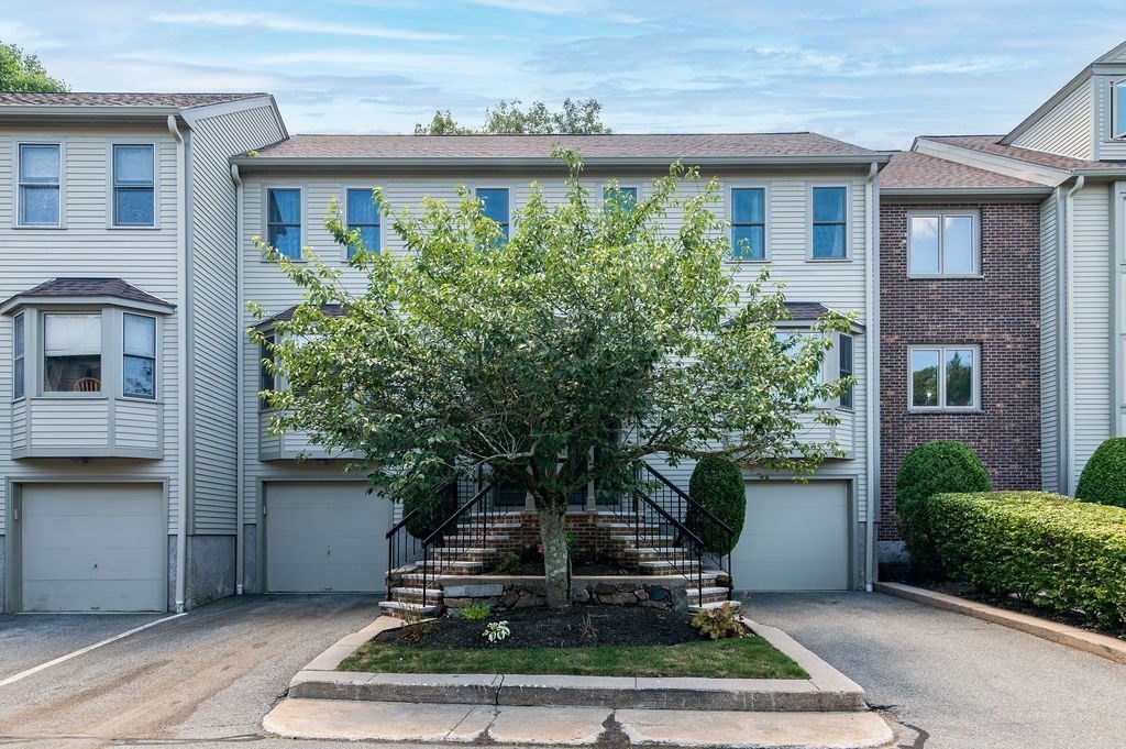 62 Maple Street, Unit C Canton, MA 02021 - Photo 2 of 31 Gallery Image 2