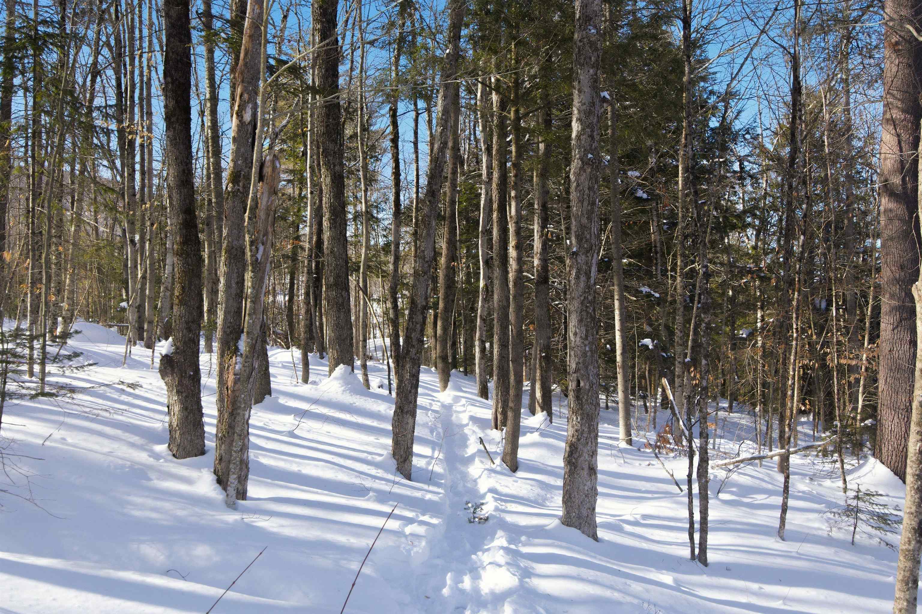 32 Deckmans Road Danbury, NH 03230 - Photo 37 of 47