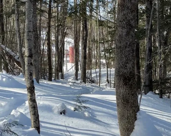 $429,900 | 32 Deckmans Road, Danbury, NH 03230