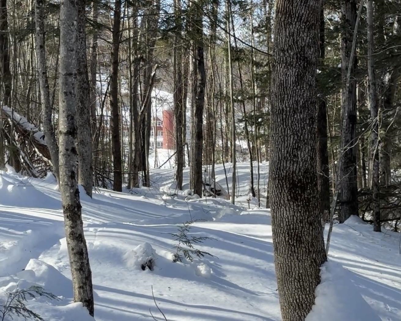 32 Deckmans Road Danbury, NH 03230 - Photo 38 of 47