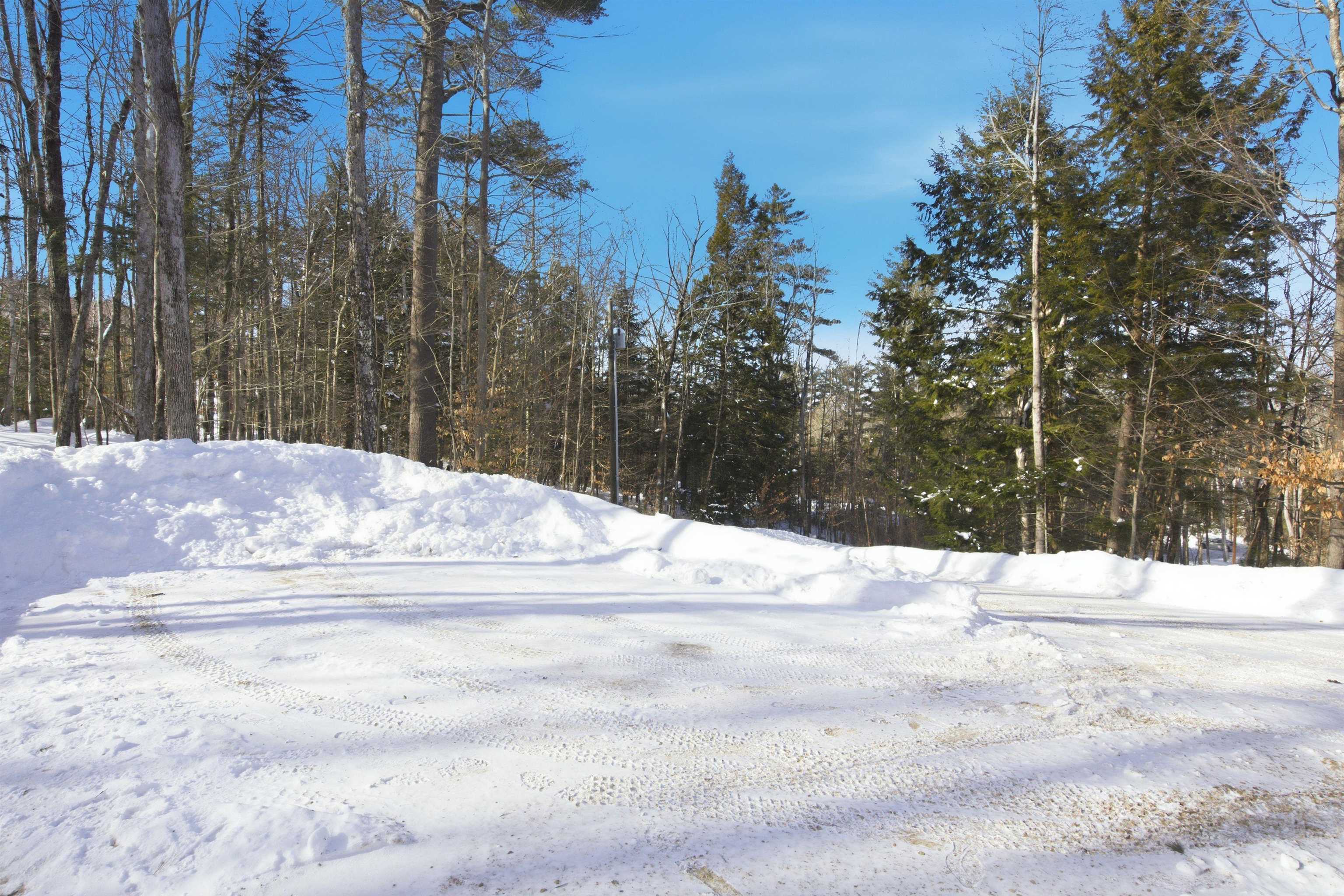 32 Deckmans Road Danbury, NH 03230 - Photo 39 of 47