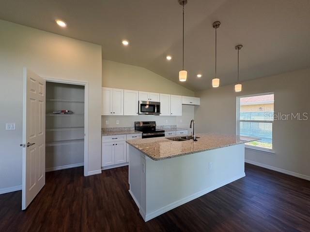13307 Southwest 43rd Ave Road Ocala, FL 34473 - Photo 12 of 20