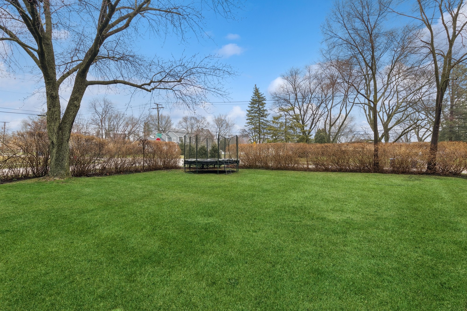 1603 Hertel Lane Deerfield, IL 60015 - Photo 2 of 27 a view of garden with tall trees