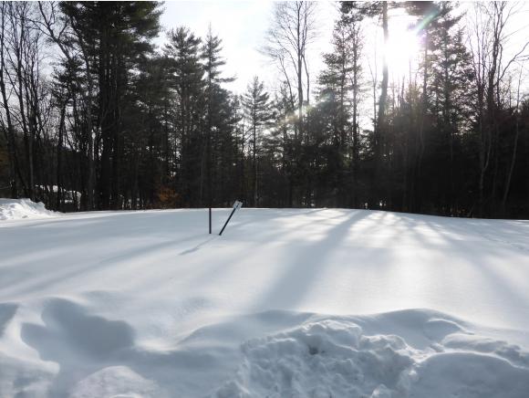 Lot 1 Town Line Road Sunderland, VT 05250 - Photo 2 of 2 Gallery Image 2
