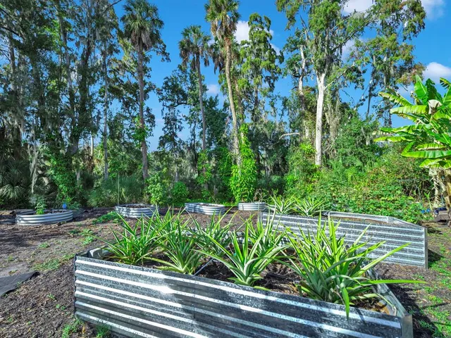 $1,199,000 | 11562 Monette Road, Riverview, FL 33569