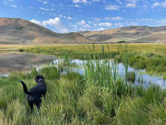 $1,400,000 | 320 Monument Gulch, Fairfield, ID 83322