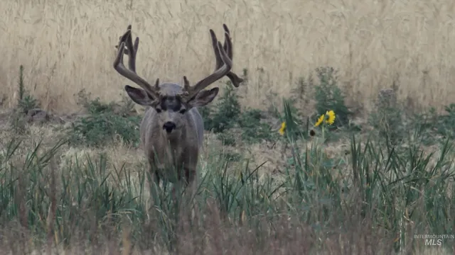 $1,400,000 | 320 Monument Gulch, Fairfield, ID 83322