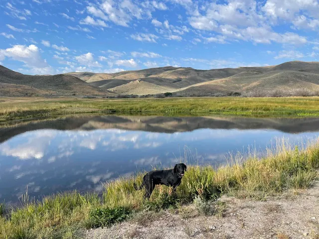 $1,400,000 | 320 Monument Gulch, Fairfield, ID 83322