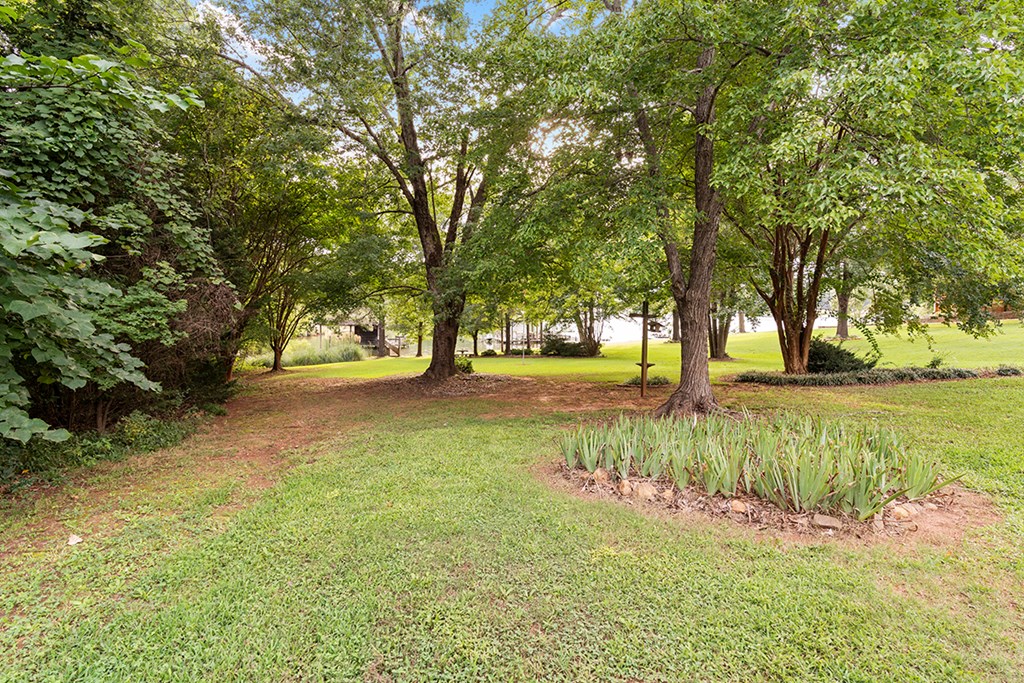 332 Island Ford Road Cross Hill, SC 29332 - Photo 21 of 32 Gallery Image 21