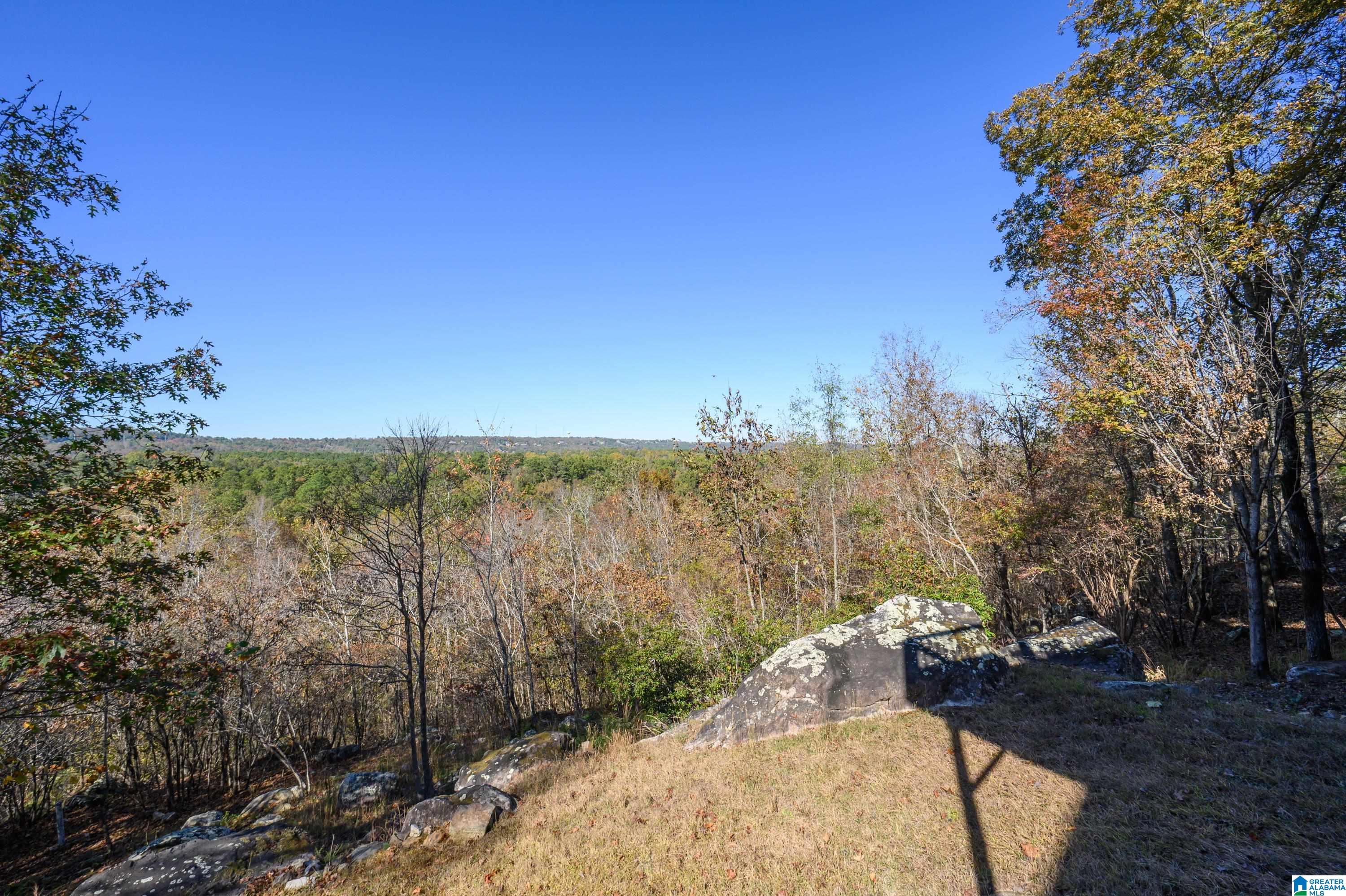 456 Conroy Circle Sterrett, AL 35147 - Photo 59 of 81
