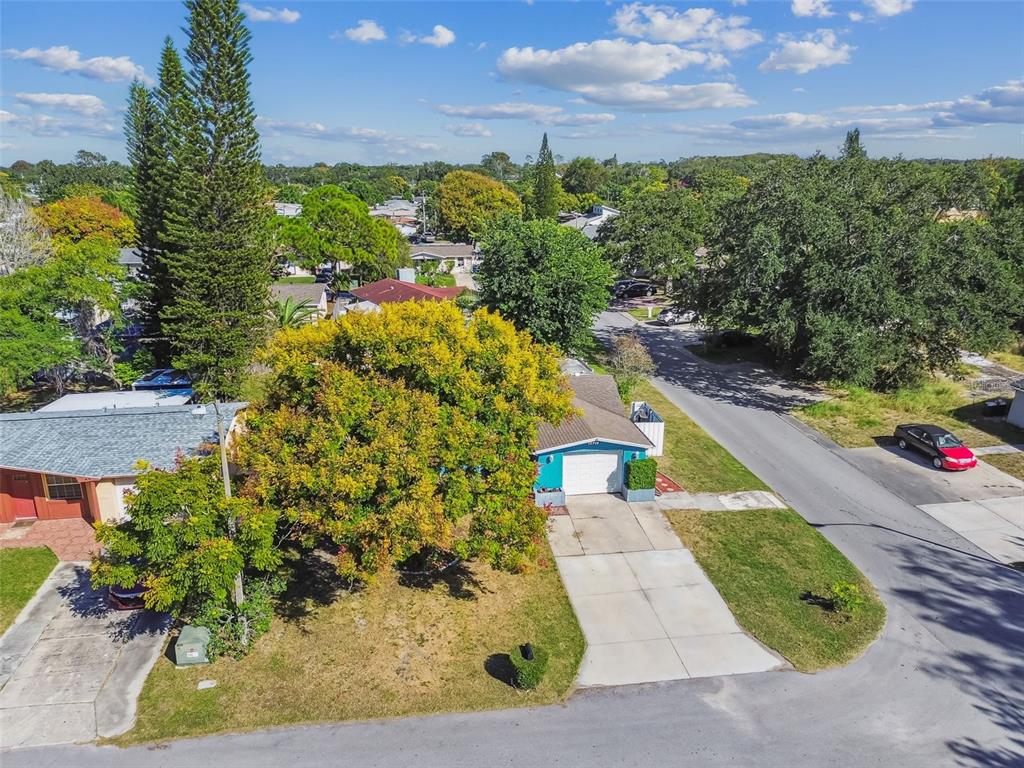 12714 Mulberry Lane Hudson, FL 34667 - Photo 51 of 68