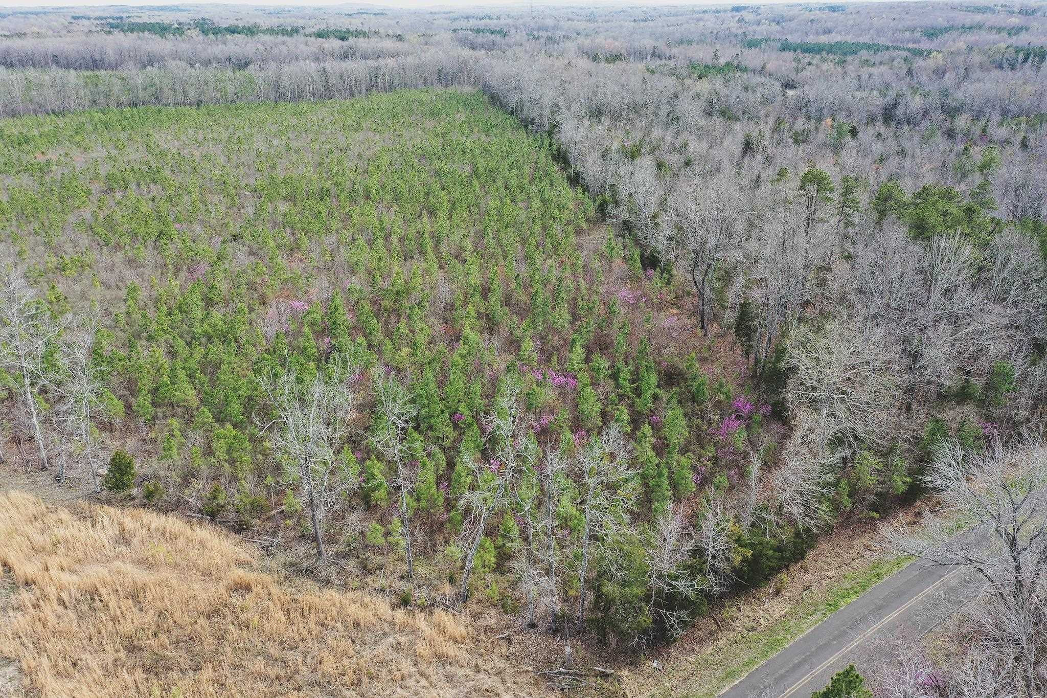 103-ac Pulliam-Tingen Mine Road Roxboro, NC 27574 - Photo 1 of 30 Photo 1